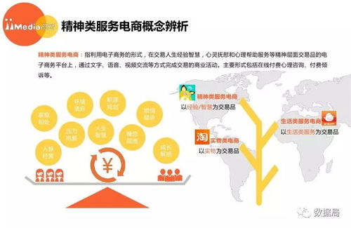 2017上半年中國(guó)精神類服務(wù)電商市場(chǎng)研究報(bào)告 信息咨詢服務(wù)引領(lǐng)新風(fēng)尚